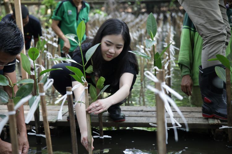 Program Lingkungan MNC Peduli